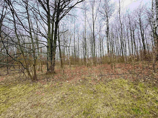 10446 W Falmouth Rd, Mcbain, MI 49657