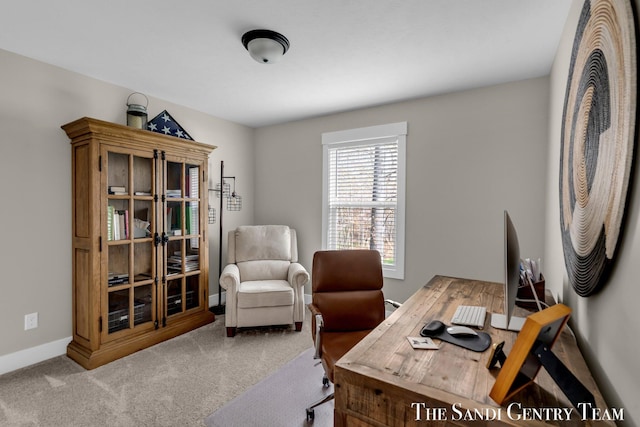 office featuring baseboards and carpet floors