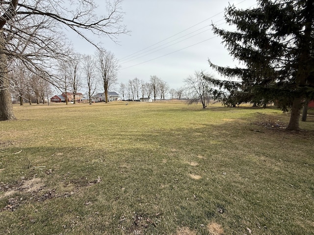 4131 Wellman Line Rd, Brown City, MI 48416 - view of green lawn