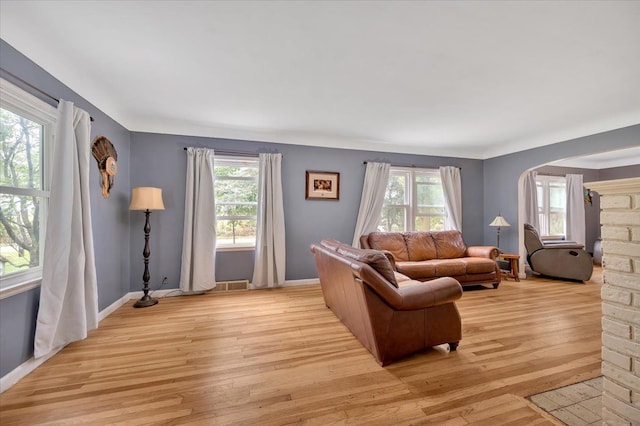 4131 Wellman Line Rd, Brown City, MI 48416 - living room with arched walkways, light wood-style floors, and baseboards