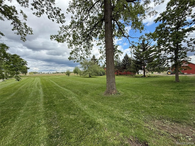 4131 Wellman Line Rd, Brown City, MI 48416 - view of grassy yard