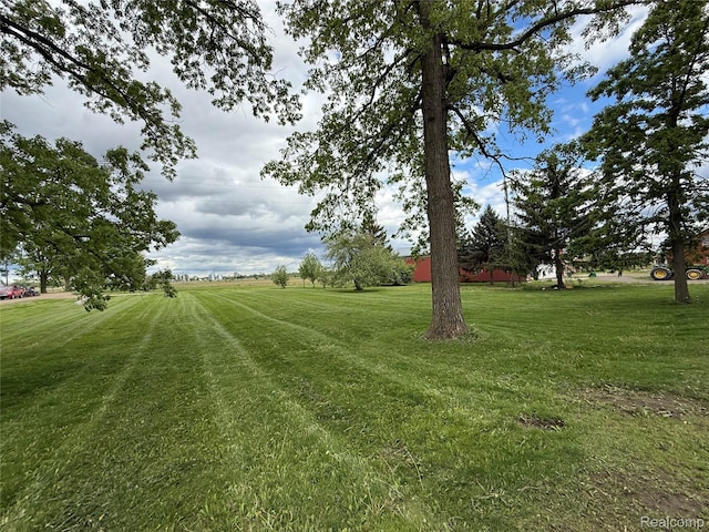 4131 Wellman Line Rd, Brown City, MI 48416 - view of green lawn