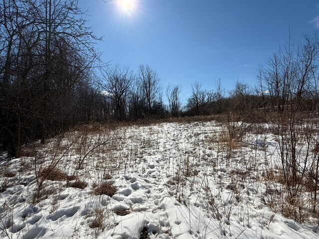 0 Dean, Brown City, MI 48416
