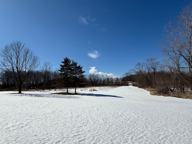 0 Dean, Brown City, MI 48416