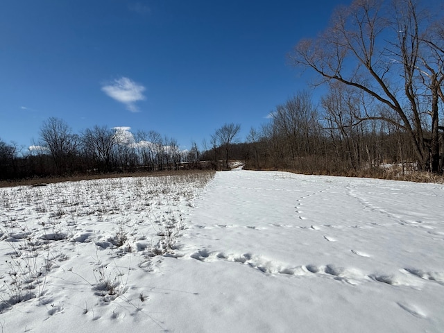 0 Dean, Brown City, MI 48416