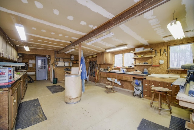 basement featuring a workshop area