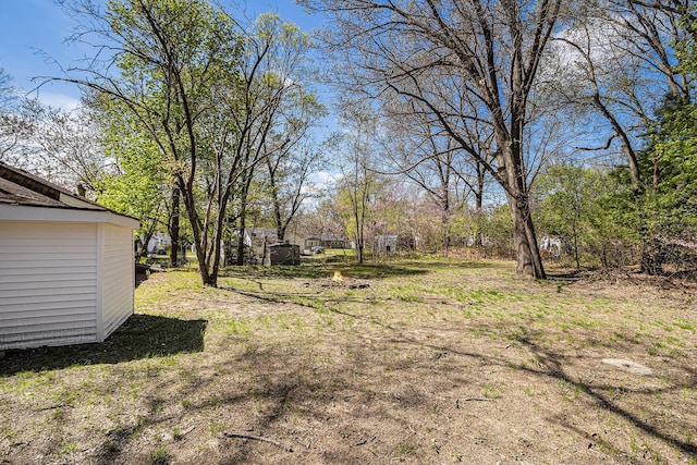 view of yard