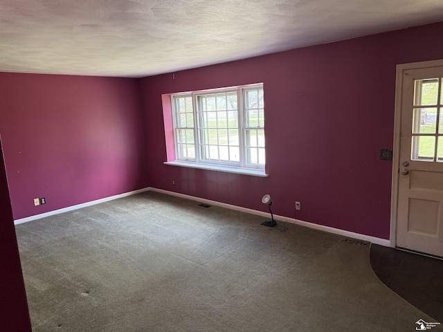 8367 S Douglas Rd, Bedford, MI 48144 - spare room with carpet floors, baseboards, and visible vents