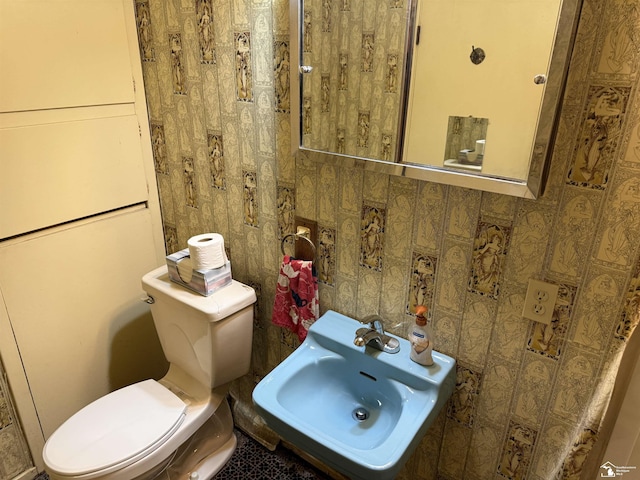 8367 S Douglas Rd, Bedford, MI 48144 - bathroom featuring a sink and toilet