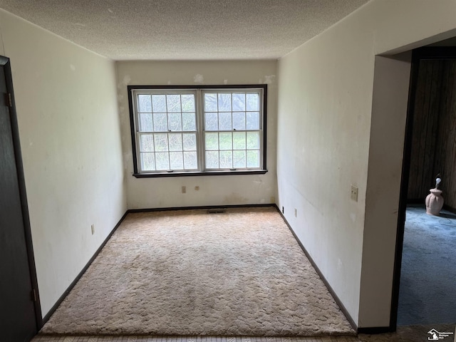 8367 S Douglas Rd, Bedford, MI 48144 - carpeted spare room featuring a textured ceiling