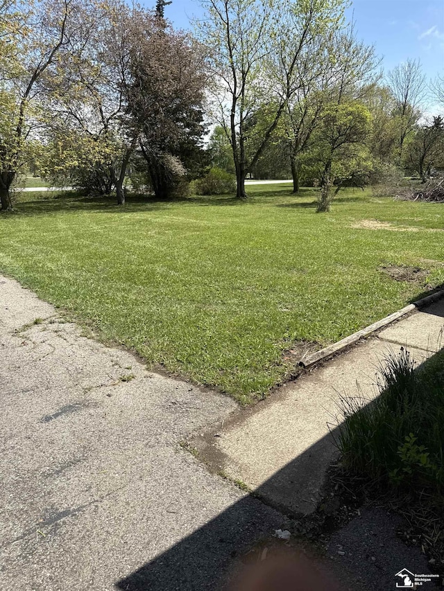 8367 S Douglas Rd, Bedford, MI 48144 - view of yard