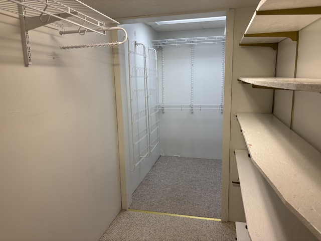 spacious closet with carpet