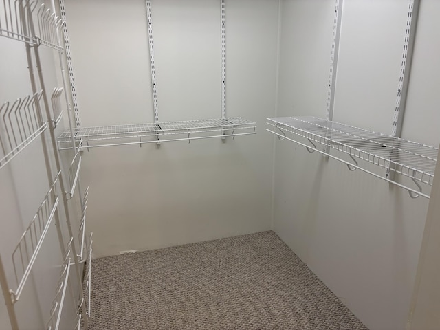 walk in closet featuring carpet flooring