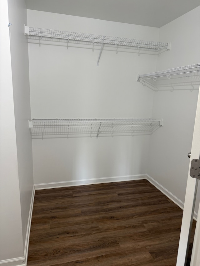 spacious closet with dark wood-style floors
