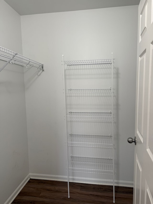 spacious closet with dark wood-type flooring