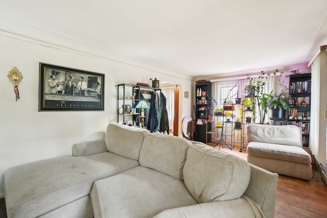 933 Cameron Ave, Pontiac, MI 48340 - living area featuring wood finished floors