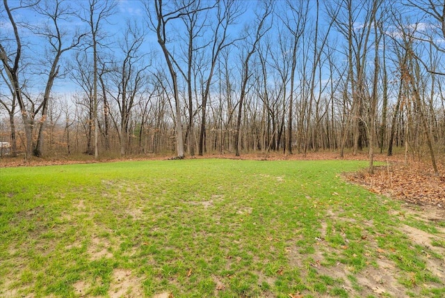 view of yard featuring a forest view