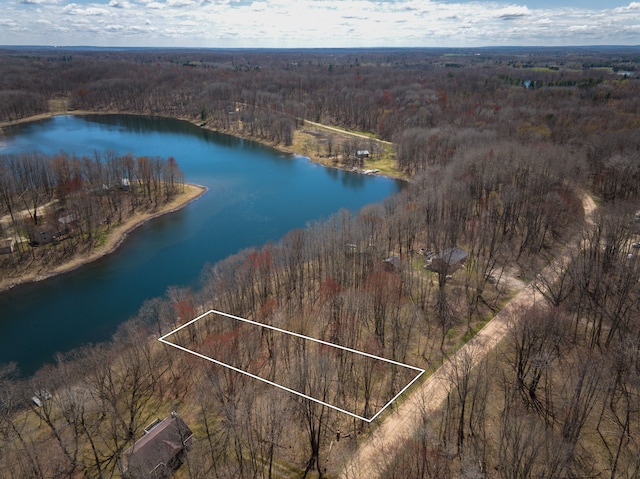 308 Alpine Dr, Reed City, MI 49677 - photo 1