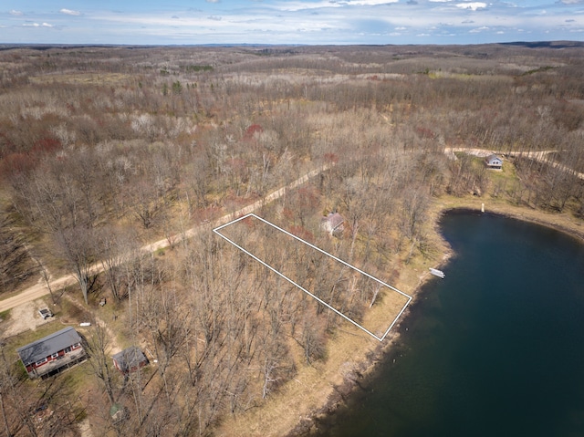 308 Alpine Dr, Reed City, MI 49677 - photo 3