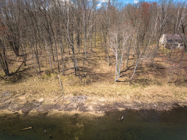 308 Alpine Dr, Reed City, MI 49677 - photo 4