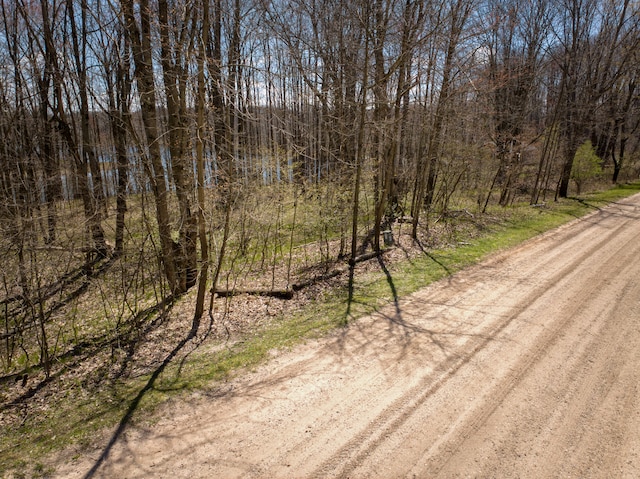 308 Alpine Dr, Reed City, MI 49677 - photo 7