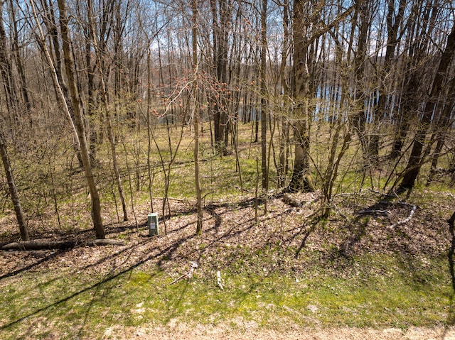 308 Alpine Dr, Reed City, MI 49677 - photo 8