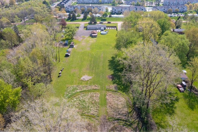bird's eye view