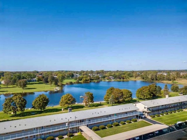 26955 Milford Rd Unit 20, South Lyon, MI 48178 - water view
