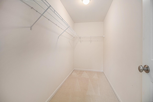 walk in closet with light colored carpet