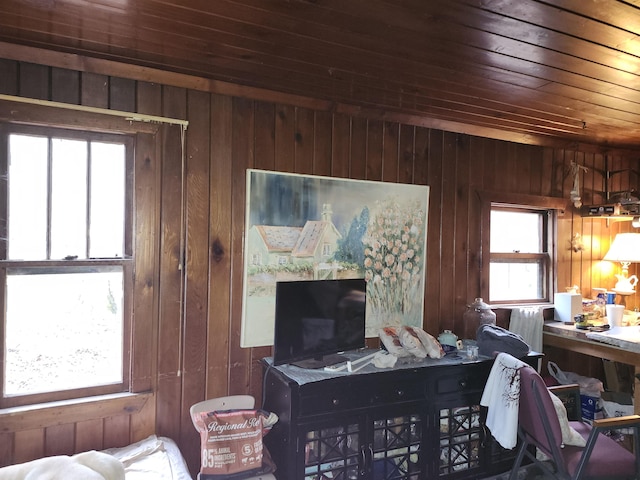 living area with wood walls, wooden ceiling, and healthy amount of natural light