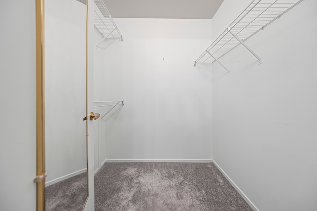 29513 Sierra Pointe Cir, Farmington Hills, MI 48331 - spacious closet with carpet flooring