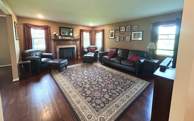 living area with a glass covered fireplace, dark wood-type flooring, plenty of natural light, and recessed lighting