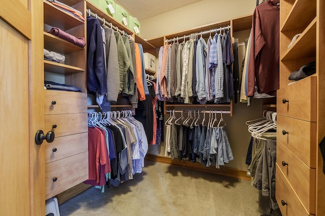 12324 Cranes Ave, Richland, MI 49083 - spacious closet with carpet