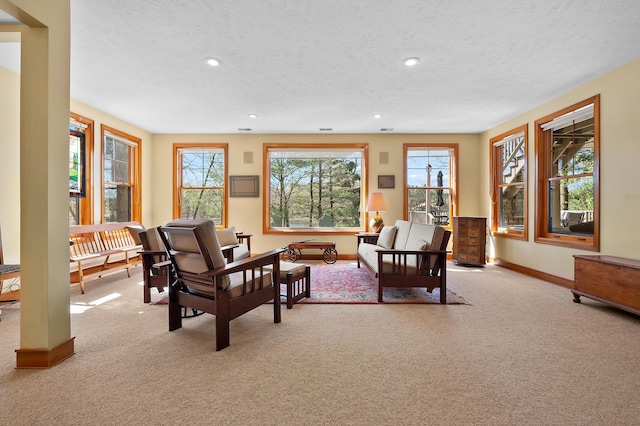 12324 Cranes Ave, Richland, MI 49083 - carpeted living area with baseboards, recessed lighting, and a textured ceiling