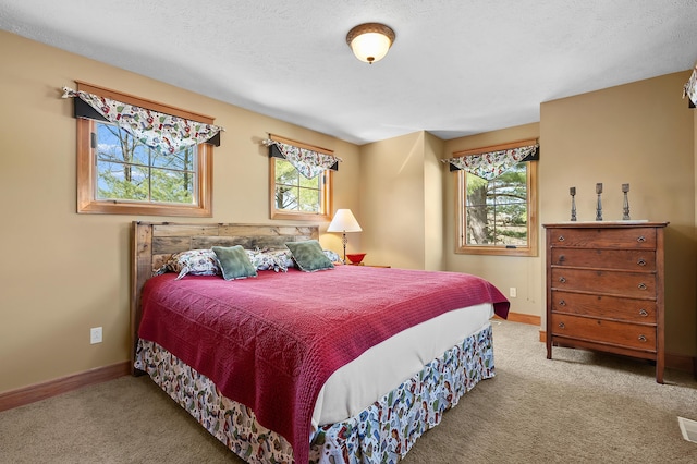 12324 Cranes Ave, Richland, MI 49083 - bedroom with baseboards, multiple windows, and carpet flooring