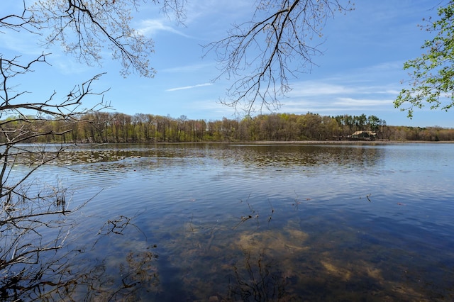 12324 Cranes Ave, Richland, MI 49083 - view of water feature with a view of trees