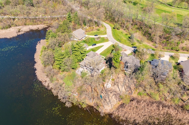 12324 Cranes Ave, Richland, MI 49083 - drone / aerial view with a water view