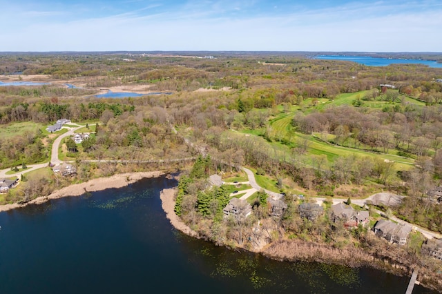 12324 Cranes Ave, Richland, MI 49083 - aerial view featuring a forest view and a water view