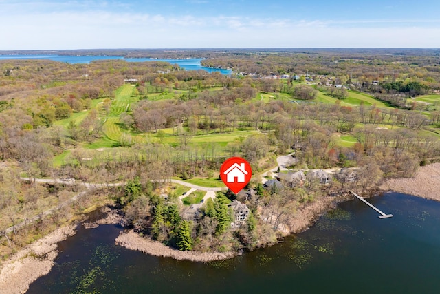12324 Cranes Ave, Richland, MI 49083 - bird's eye view with a water view