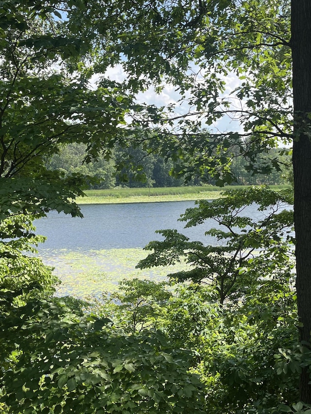 12324 Cranes Ave, Richland, MI 49083 - water view featuring a forest
