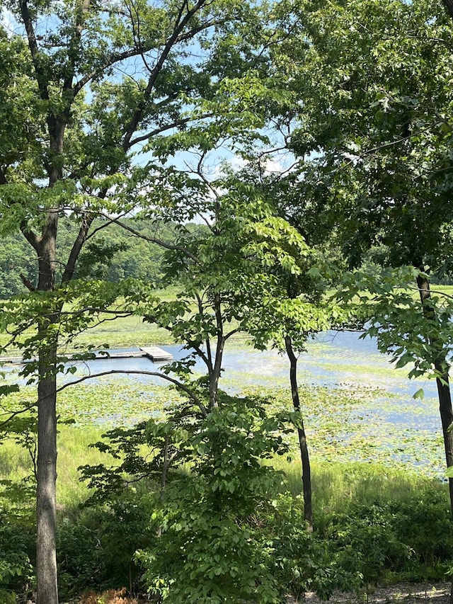 12324 Cranes Ave, Richland, MI 49083 - water view
