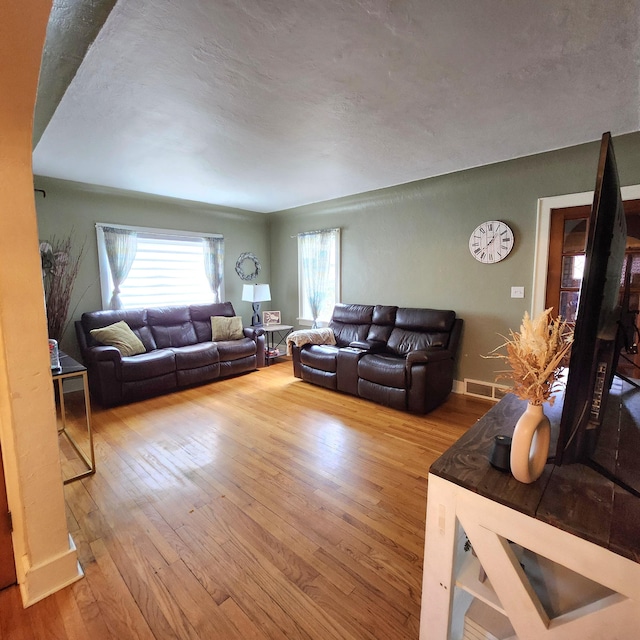 living room featuring a wealth of natural light and hardwood / wood-style flooring