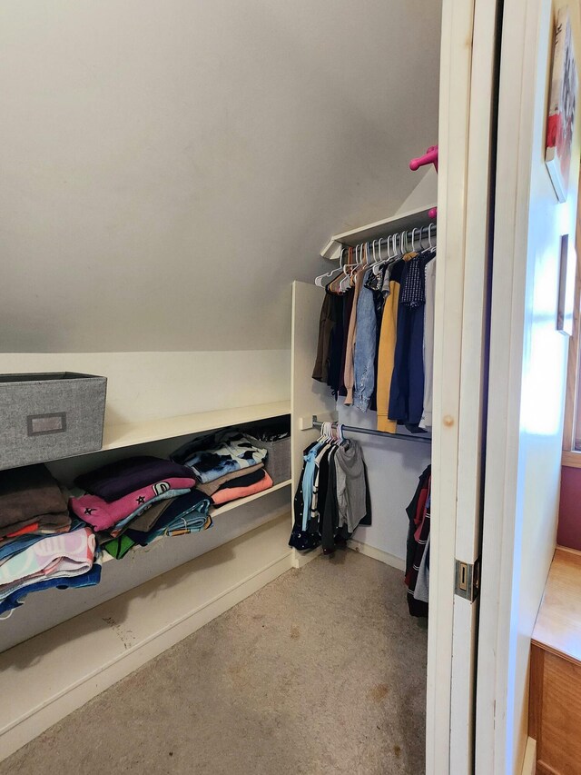 walk in closet featuring carpet flooring