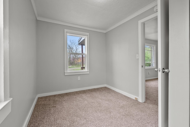 carpeted empty room featuring crown molding, a textured ceiling, and baseboards