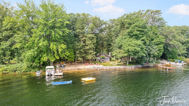 view of water feature featuring a view of trees and a boat dock