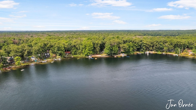 drone / aerial view with a water view and a forest view