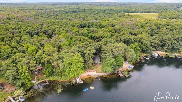 birds eye view of property featuring a water view and a view of trees