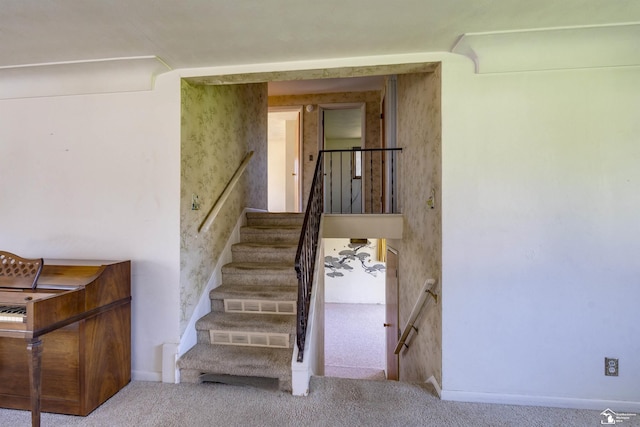 stairway featuring carpet