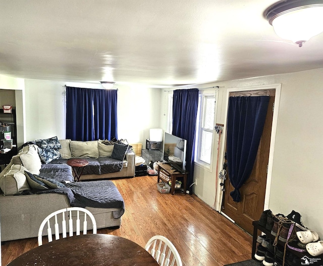 living area featuring wood finished floors