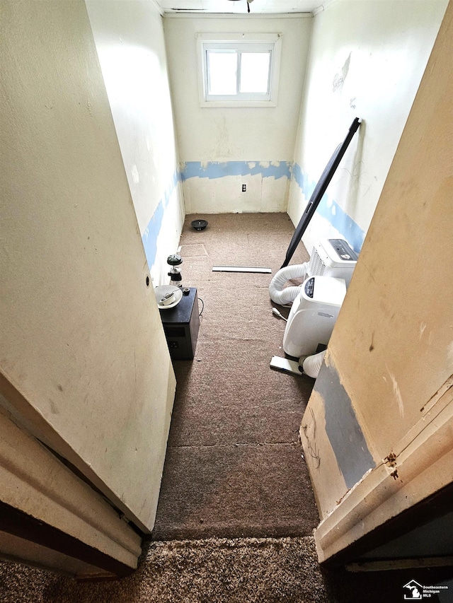 interior space featuring carpet